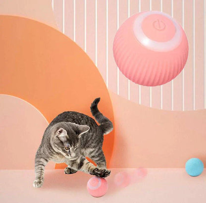 Automatic Rolling Cat Ball Toy - Interactive Electric Pet Toy - Infigenics